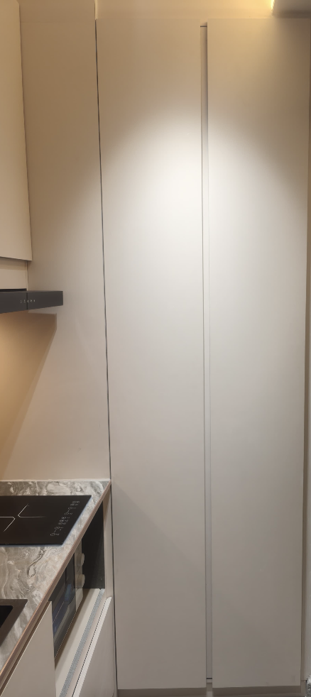 Full-height custom condo storage cabinet